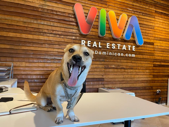 Buy property in the Dominican Republic, Welcome to Viva Dominican™, your trusted real estate brokerage and
             property development company based in the beautiful town of Cabarete.